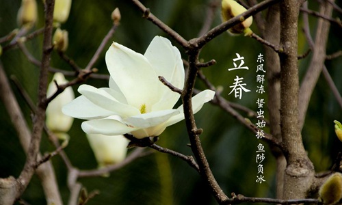 立春的诗句古诗 生动的描写让人受到春天的气息