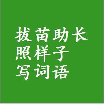 拔苗助长照样子写词语和成语