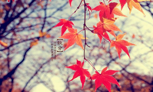 秋分诗句大全，有关秋分时节的经典古诗词