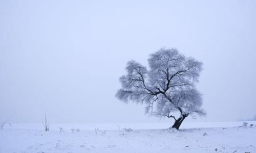 关于雪的优美诗句，下雪有意境的古诗