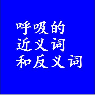 呼吸的近义词和反义词是什么，两个字的最准确标准答案