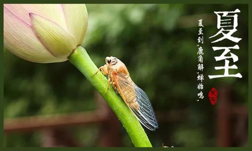 传统节气夏至的唯美古诗词 描写夏至时节的古诗词