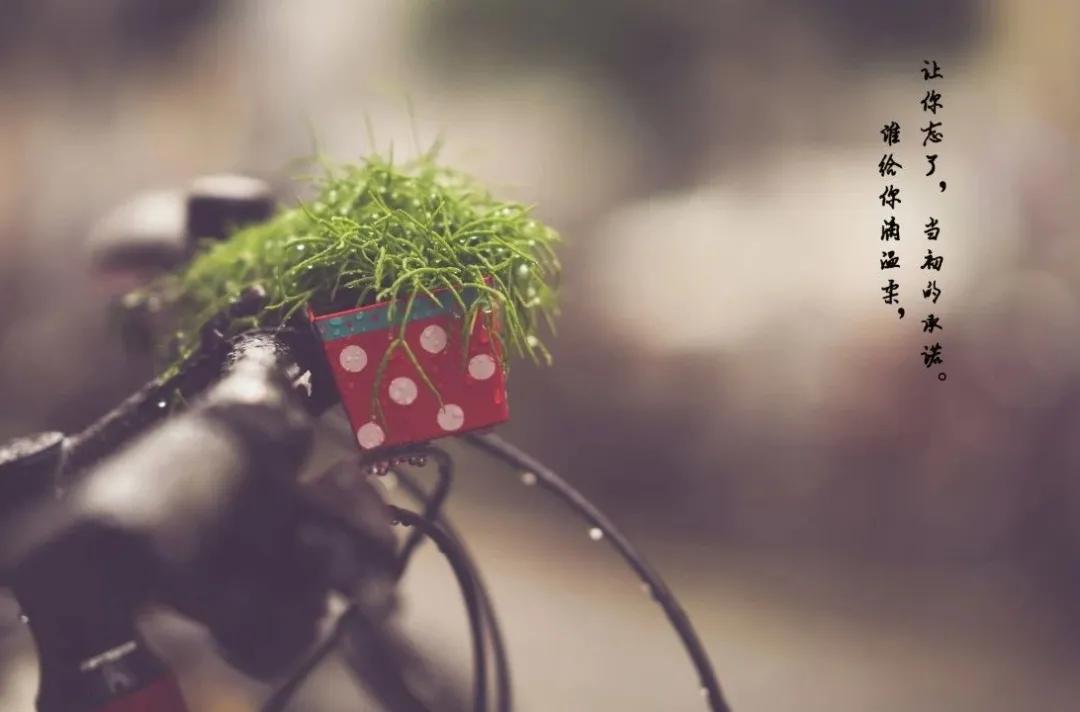 下大雨的说说句子适合发朋友圈