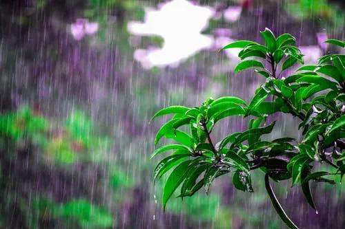 下大雨的说说句子适合发朋友圈