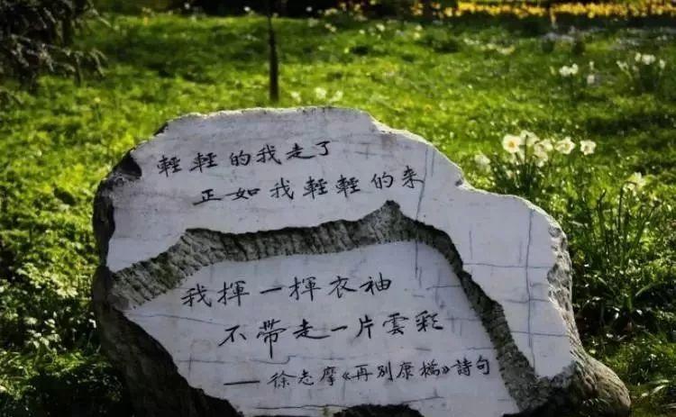 那些我们读过的徐志摩的诗有哪些，感受浪漫主义诗风熏陶