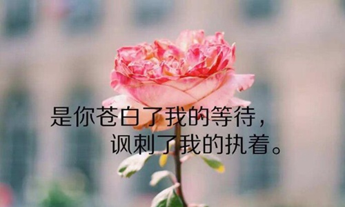 描写花的诗句大全 精选形容花的唯美短句
