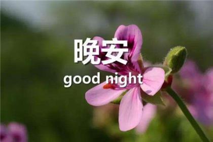 相见不如不见的诗句