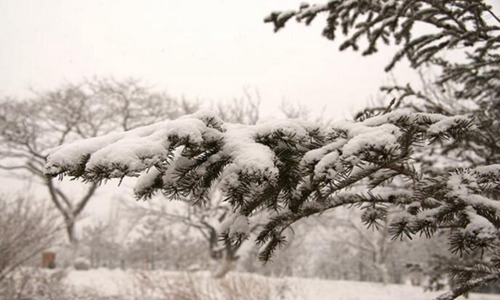 咏雪文言文翻译带原文 经典文言文赏析注释
