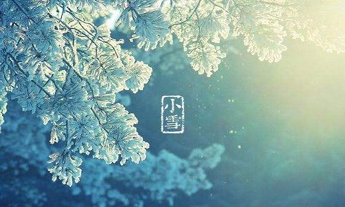 关于小雪节气的诗句，赞美小雪的古诗