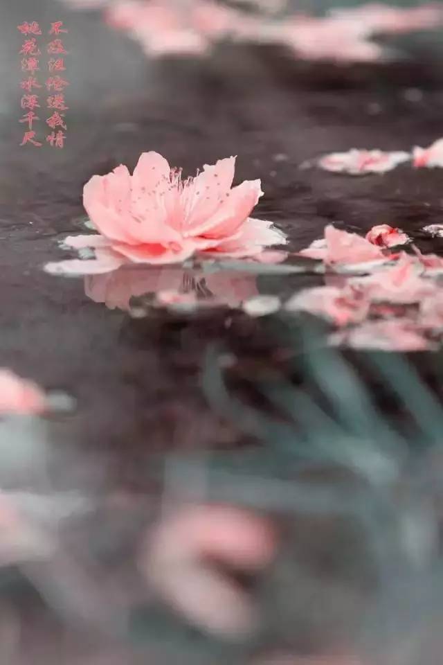美到窒息的古典诗句
