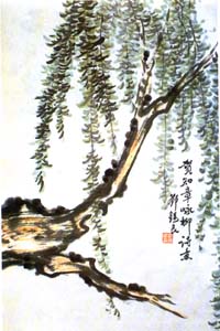 咏柳古诗朗诵 贺知章
