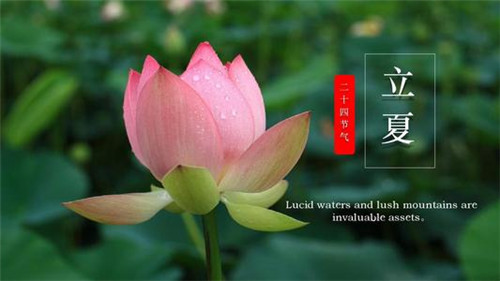 立夏问候语温馨短句图片