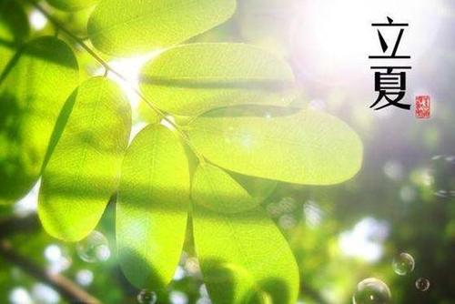 立夏问候语温馨短句图片