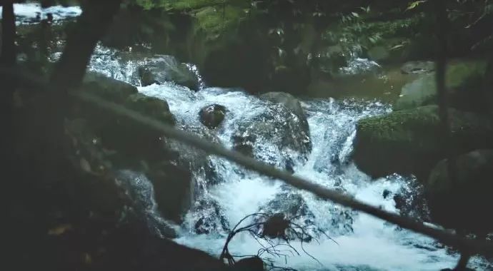 辛弃疾的词精选十首
