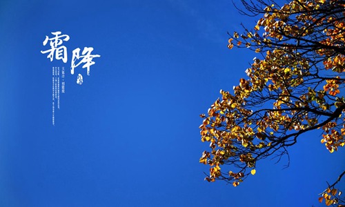 关于霜降的古诗 描写霜降的经典古诗词大全