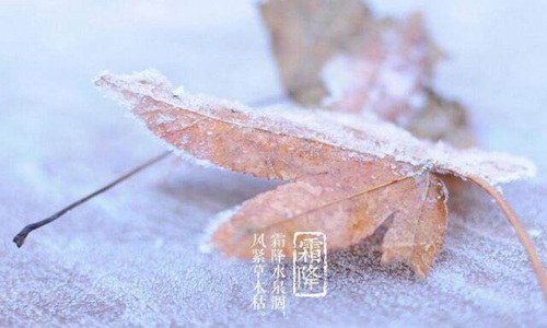 关于霜降的古诗 描写霜降的经典古诗词大全