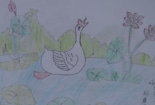 小学生诗配画作品获奖