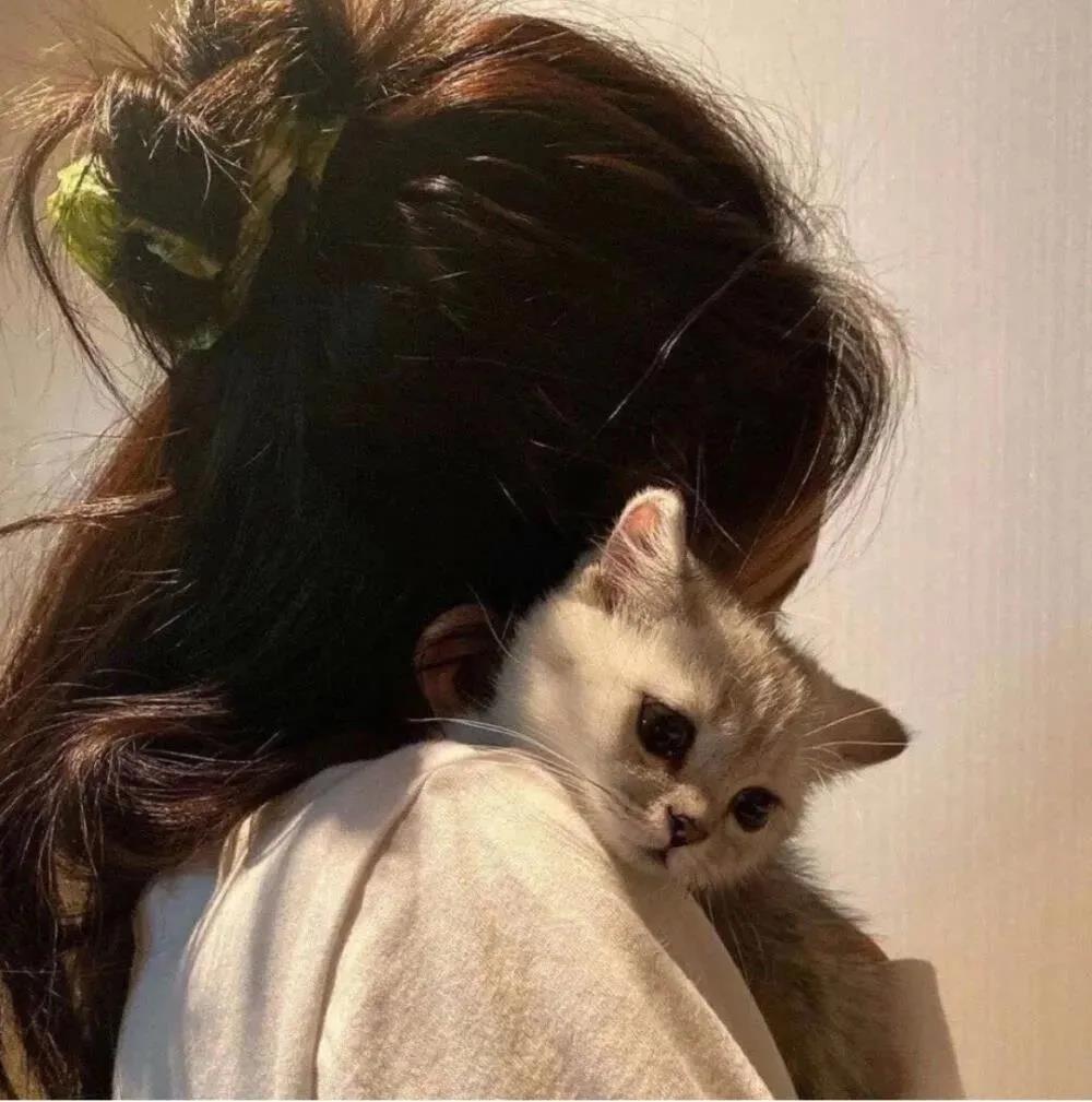 佛系少女日常说说