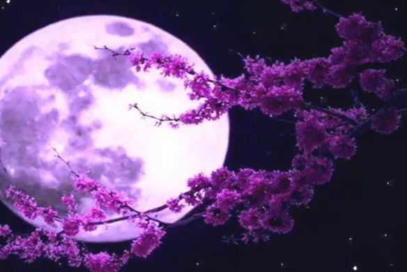 关于元宵节的古诗100首