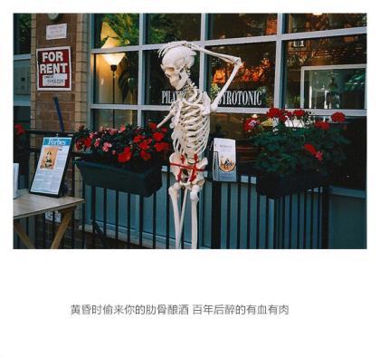 很开心幽默的句子说说心情