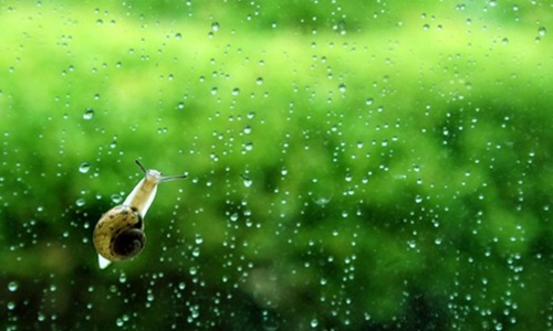 关于雨的诗句大全 精选唯美古风带雨的句子