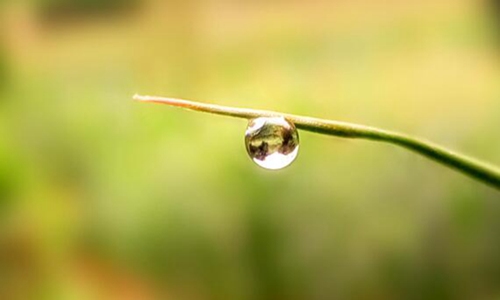 描写春雨的诗句大全 关于春雨的古诗诗句