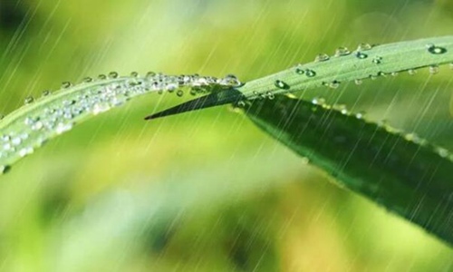 描写春雨的诗句大全 关于春雨的古诗诗句