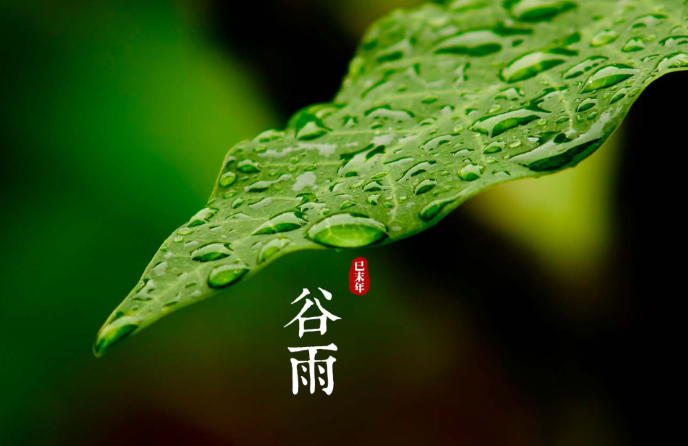 谷雨的俗语与谚语