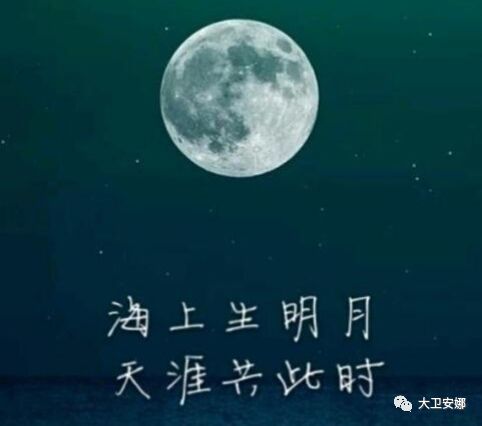 张九龄思念家乡的诗