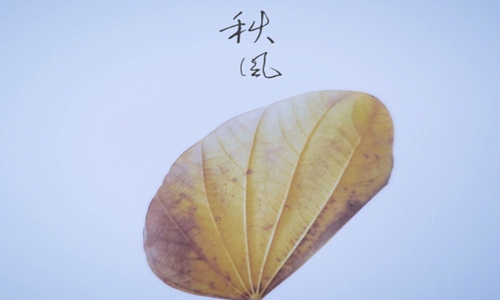关于秋天的古诗大全，描写秋天景色寄情的诗文