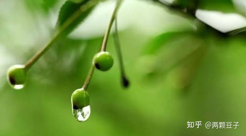 描写清明的散文集锦