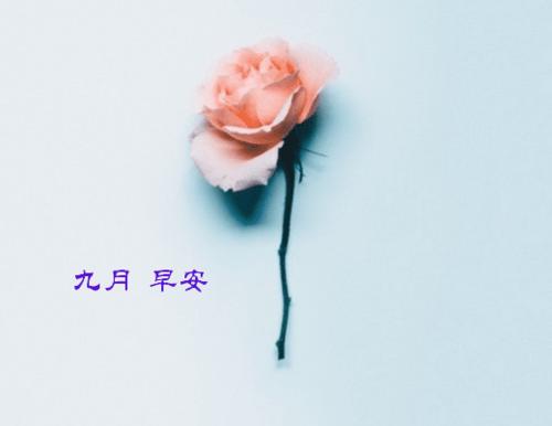 朋友圈九月唯美句子汇总31句