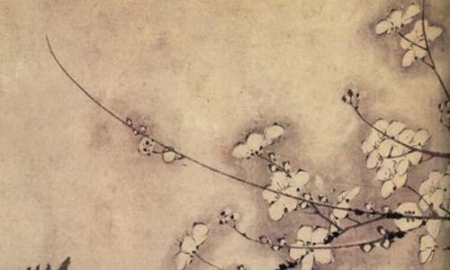 关于梅花的诗句唯美惊艳 赏梅朋友圈心情说说很有格调
