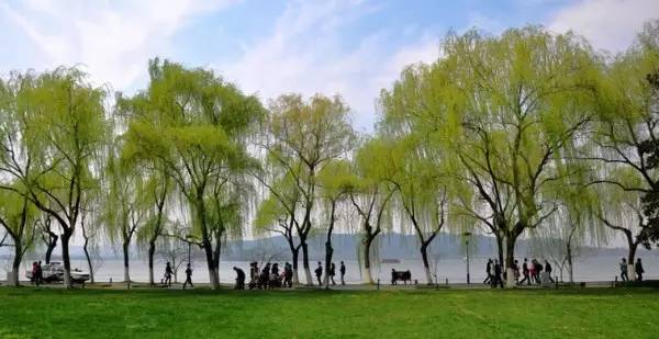 白居易最出名的十首诗