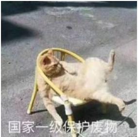 学生赚钱盘点——你不知道的套路