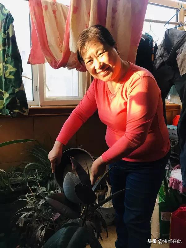 别再让妈妈变老了，测评几款母亲节适合送母亲的礼物推荐给你们