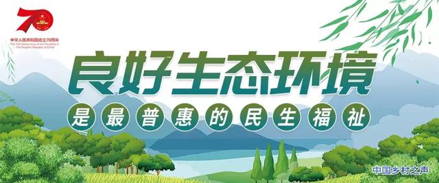 创业不知做啥好？推荐7个特色项目，一年最高赚20万