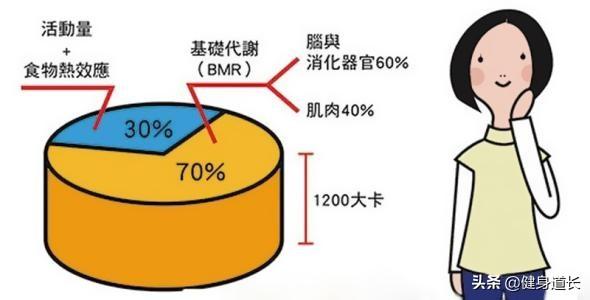 体脂秤到底有没有用？买了该怎么用？不了解之前千万别乱买