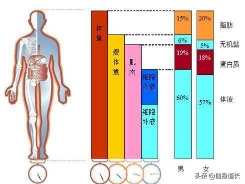 体脂秤到底有没有用？买了该怎么用？不了解之前千万别乱买