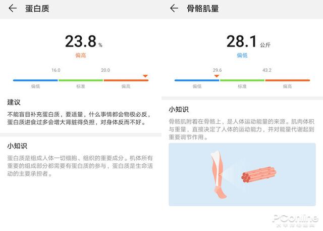 荣耀智能体脂秤WiFi版评测：17项身体指标 比你更懂你