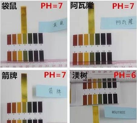 史上超值四款人气无硅油洗发水详细大测评