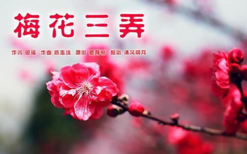 《梅花三弄》中的“三弄”到底是指什么？