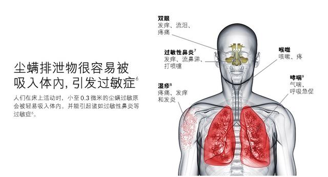 三款除螨仪测评，哪一款更值得购买？