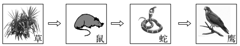 \\陈玲玉\e\陈玲玉\2017\二轮\生物\学业水平测试word\生物\X99.TIF