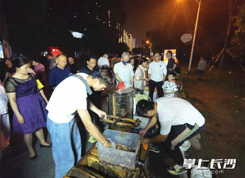 甜蜜来自千里之外！云南养蜂兄弟湘江边摆摊卖蜂蜜，月入万元