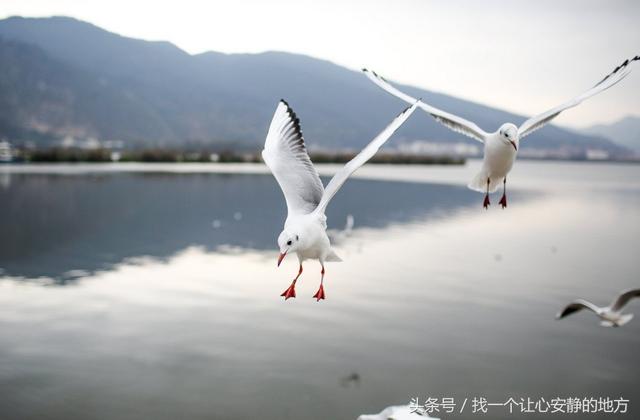 昆明旅游一定要去的十个地方，一半都是免费的