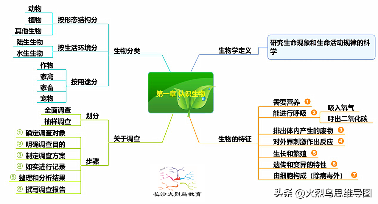 什么是思维导图？正确认识和运用思维导图来提升思维能力