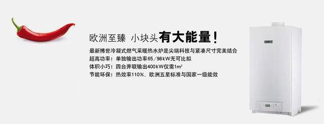 燃气壁挂炉哪个牌子好 世界燃气壁挂炉十大品牌排名