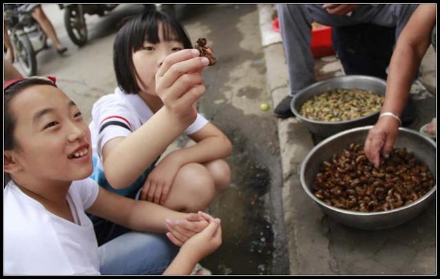 在农村，对于蝉的幼虫，每个地方的称呼都不同，你们当地怎么叫