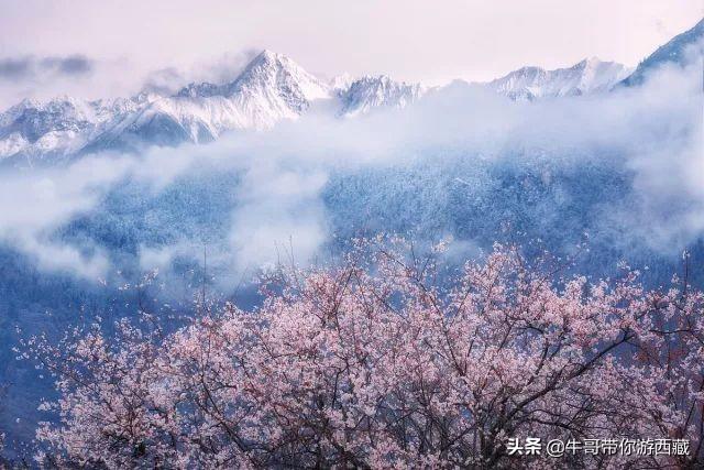 盘点西藏最火的8大旅游景点，只等疫情过去，就可以出发了